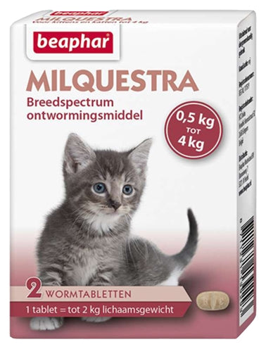 Beaphar Milquestra Kleine Kat / Kitten - Verdurra