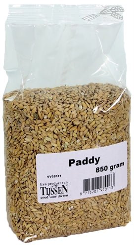 Merkloos Paddy - Verdurra