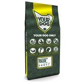 Yourdog Nova Scotia Duck Tolling Retriever Senior