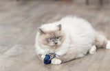 Trixie Zeedier Pluche Met Catnip Assorti