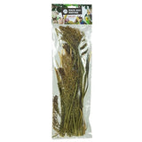 Back Zoo Nature Millet Panicum