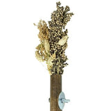 Back Zoo Nature Grass Keeper - Verdurra