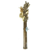 Back Zoo Nature Grass Keeper - Verdurra
