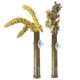 Back Zoo Nature Grass Keeper - Verdurra