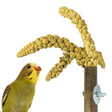 Back Zoo Nature Grass Keeper - Verdurra
