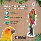 Back Zoo Nature Melon Pinata - Verdurra