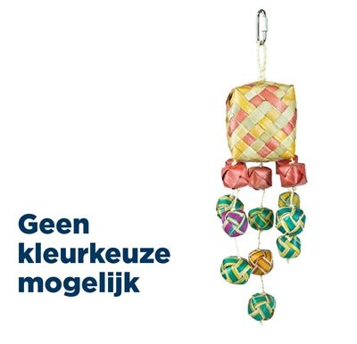Back Zoo Nature Surprise Boxes - Verdurra