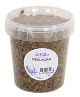 De Vries Meelworm Black Soldier Fly - Verdurra