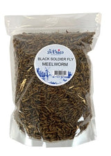 De Vries Meelworm Black Soldier Fly - Verdurra