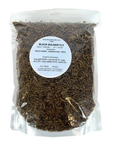 De Vries Meelworm Black Soldier Fly - Verdurra