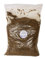 De Vries Meelworm Black Soldier Fly - Verdurra